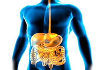 The GI Map Stool Test representing intestinal inflammation and bloating